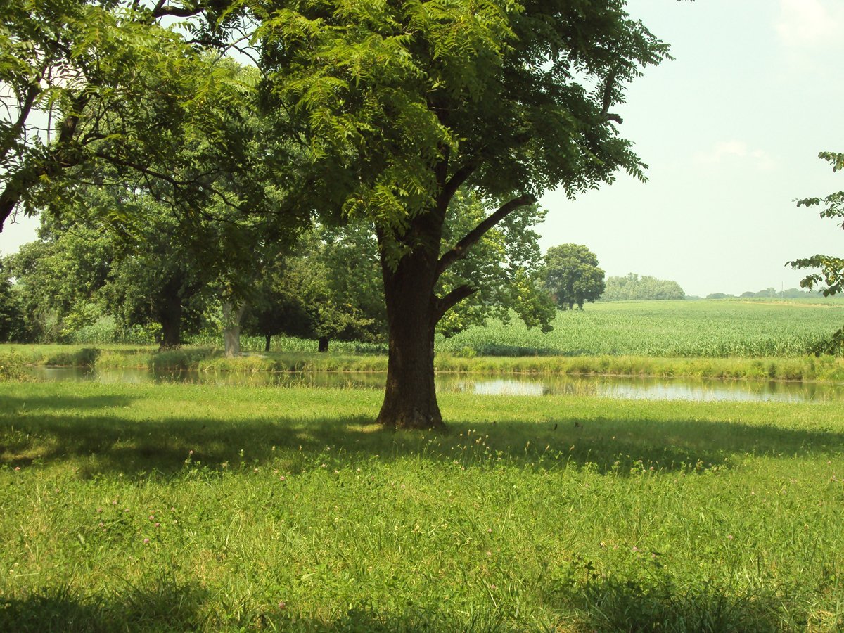 Property photo 4 - 160 Acres Offered in 6 Tracts